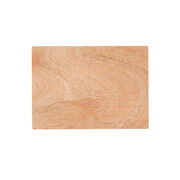 Jenny Holzer Expiring for Love wooden postcard
